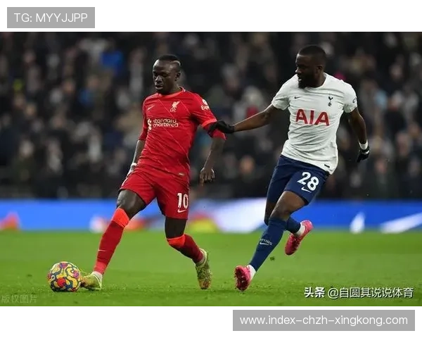 欧洲转会小市场抄底策略被证实经济效益显著 欧洲转会小市场抄底策略被证实经济效益显著